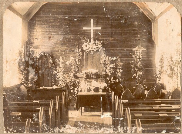 Full-size image