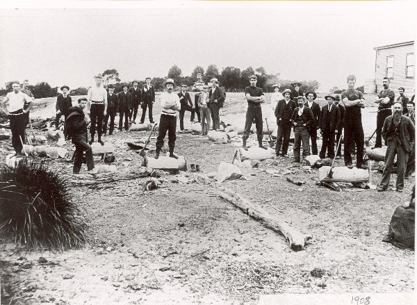 Full-size image