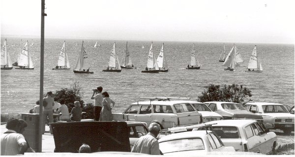 Full-size image