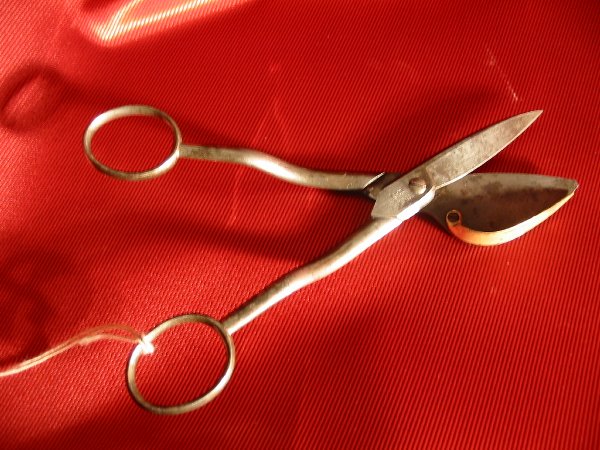 Full-size image
