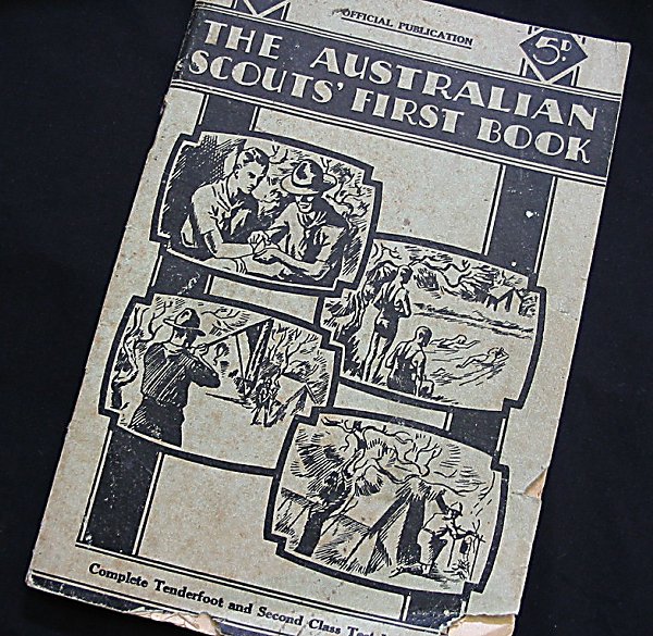 Full-size image