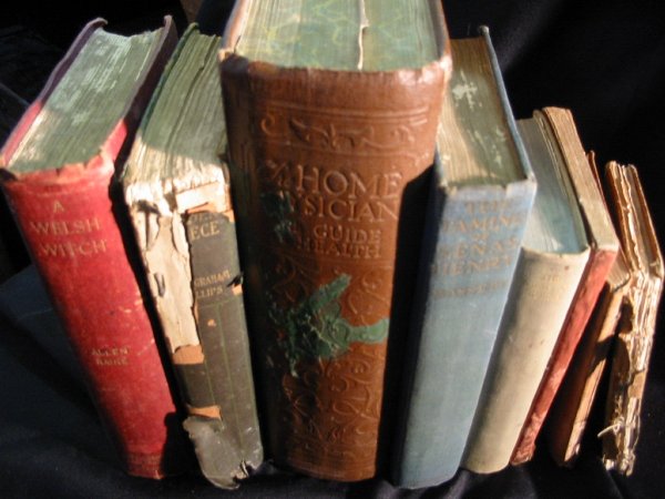 Full-size image