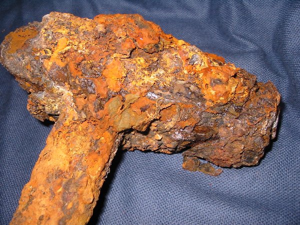 Full-size image