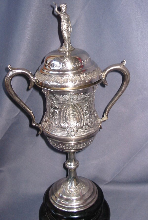 Full-size image