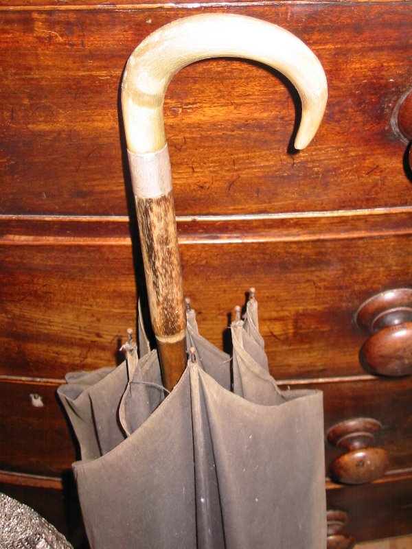 Full-size image