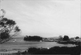 Full-size image
