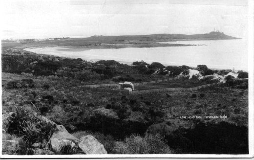 Full-size image
