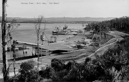Full-size image