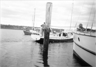 Full-size image