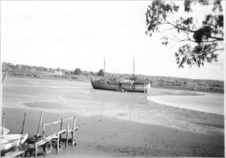 Full-size image