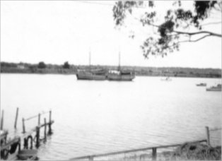 Full-size image