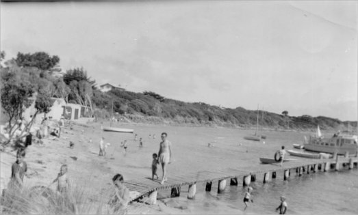 Full-size image