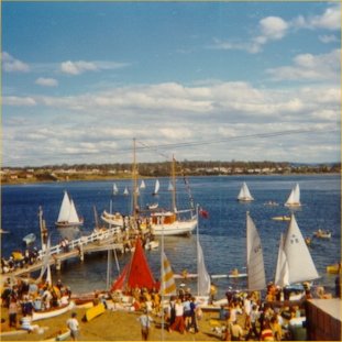 Full-size image