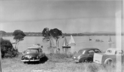 Full-size image