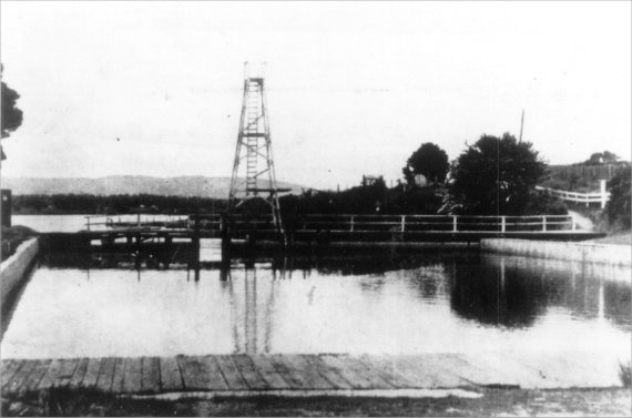 Full-size image