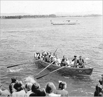 Full-size image
