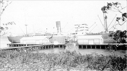 Full-size image