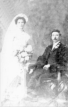 Full-size image