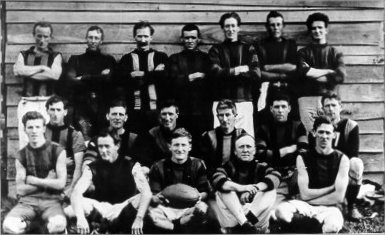 Full-size image