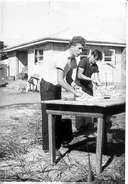 Full-size image