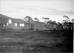 Full-size image