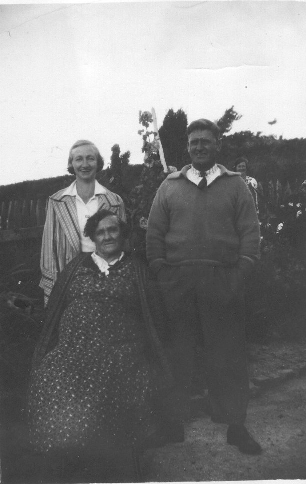 Full-size image