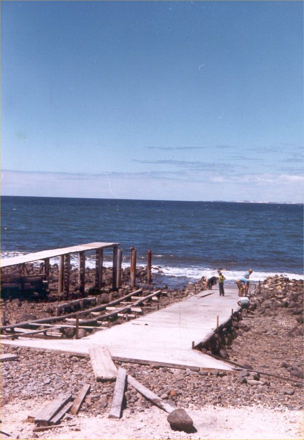 Full-size image