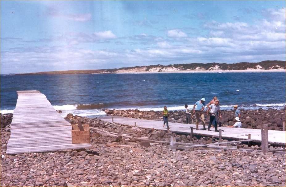 Full-size image