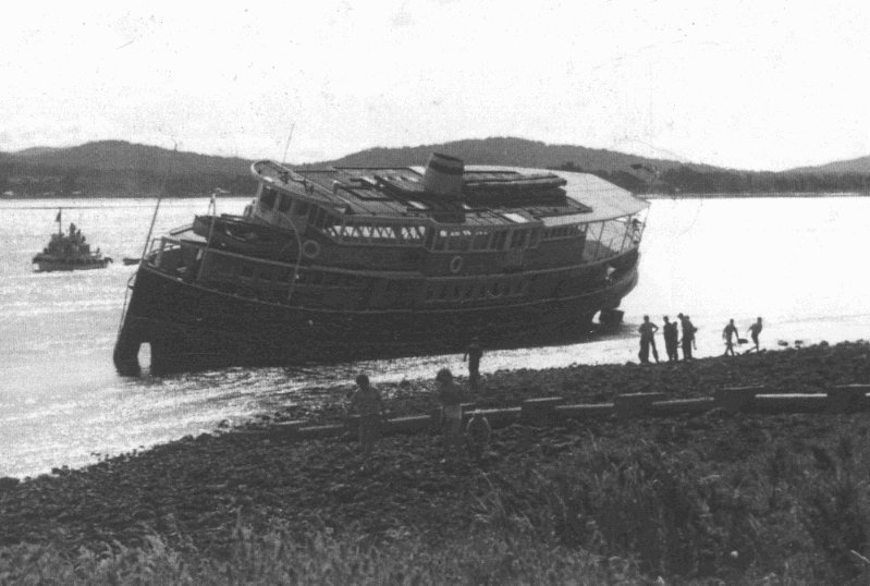 Full-size image