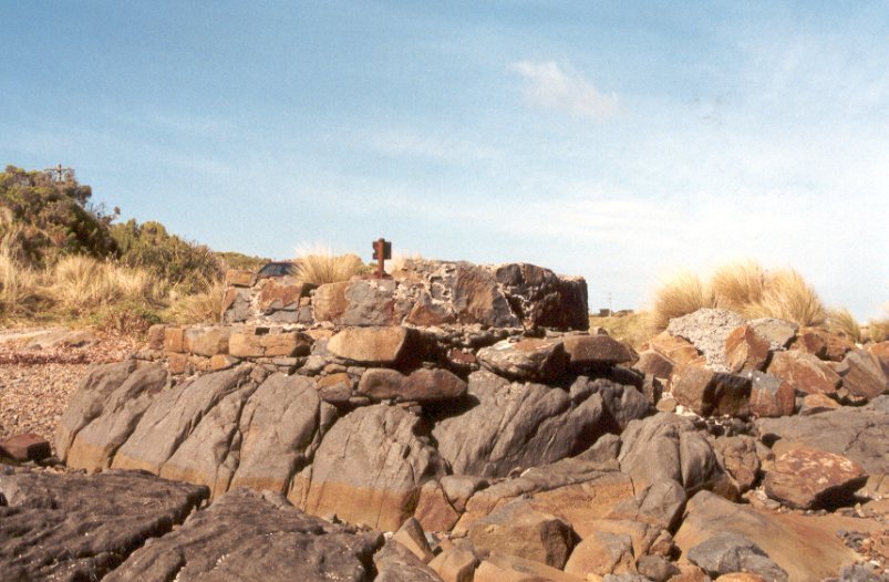 Full-size image