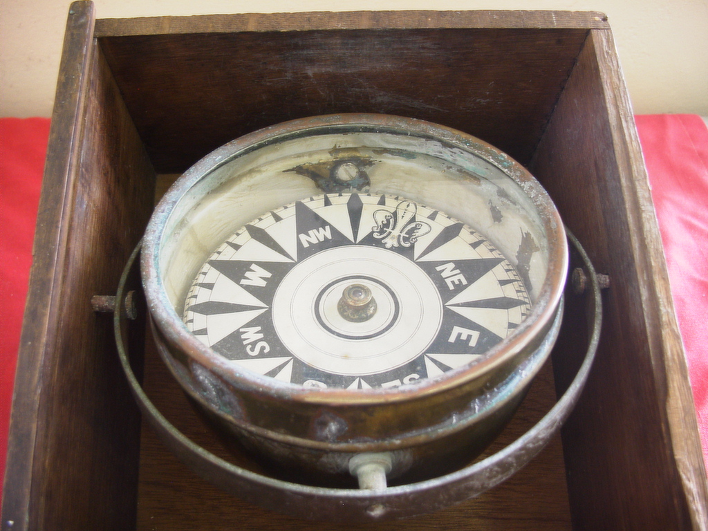 Full-size image
