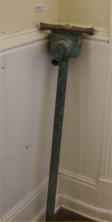 Full-size image