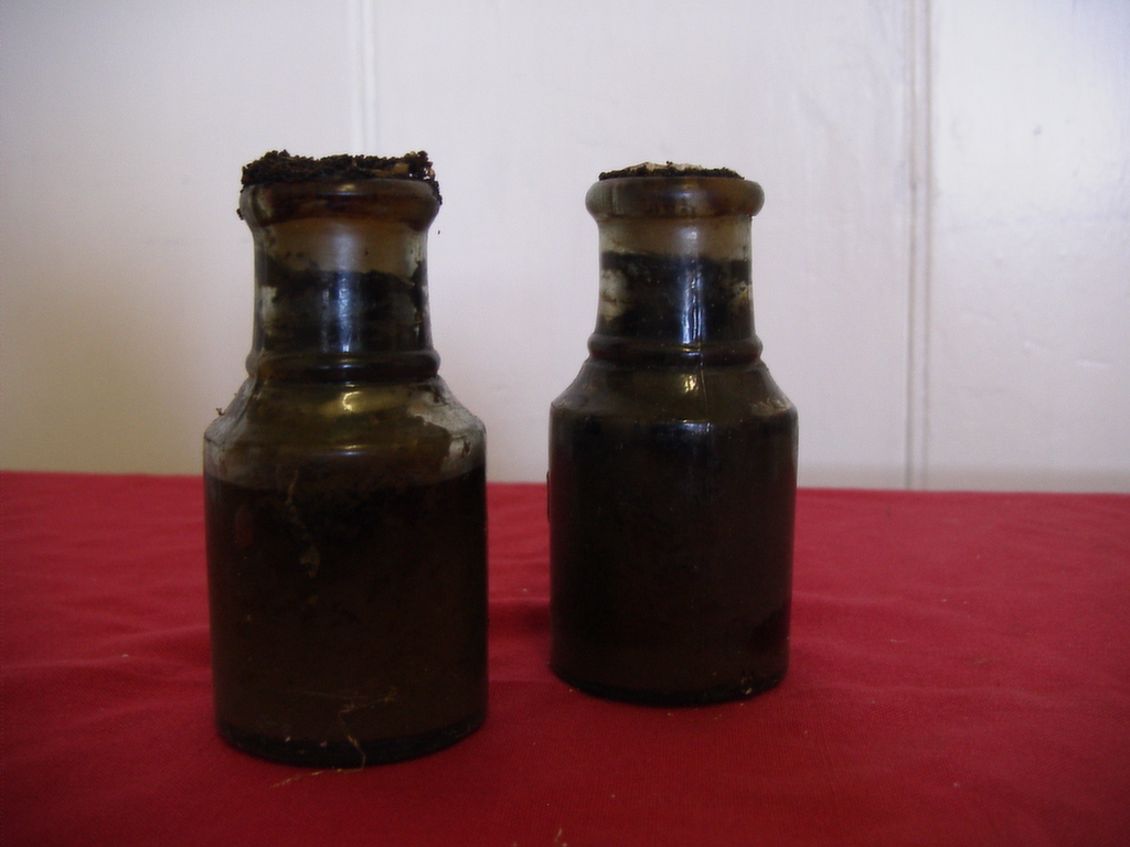 Full-size image