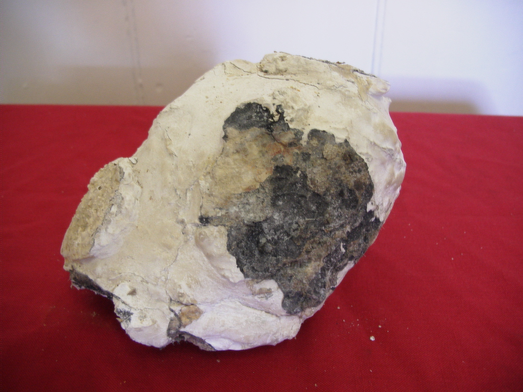 Full-size image