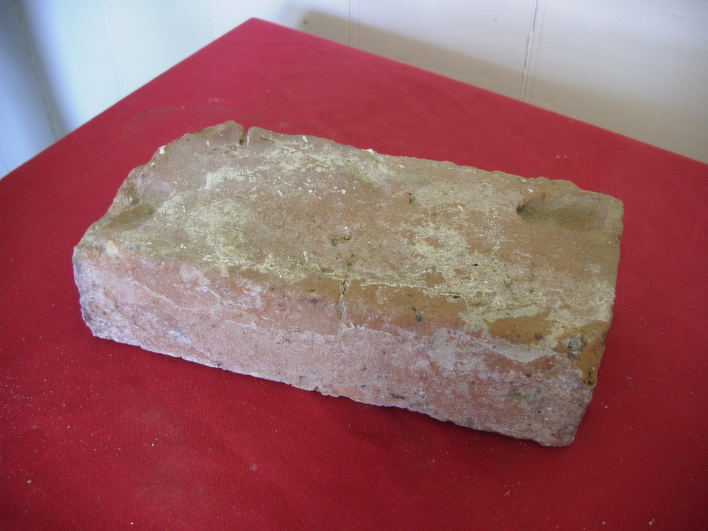 Full-size image