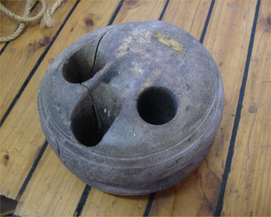 Full-size image