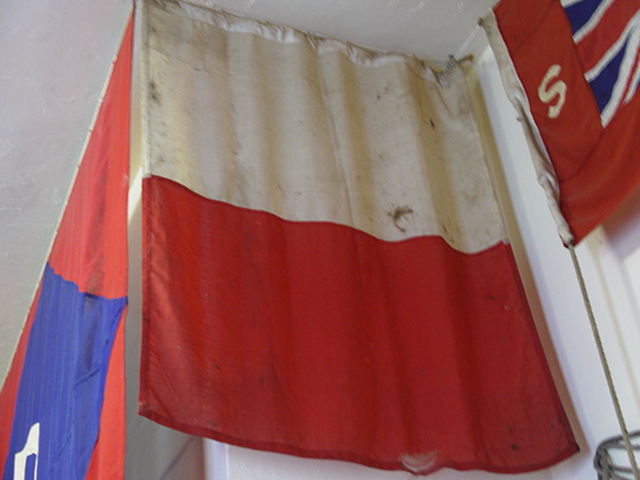 Full-size image