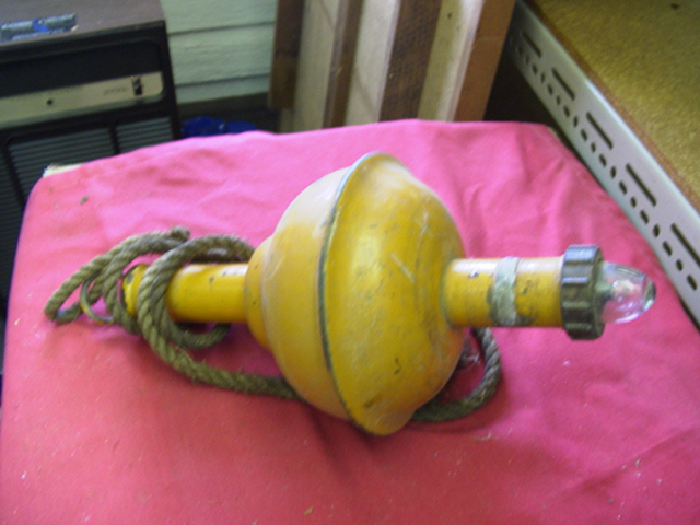 Full-size image