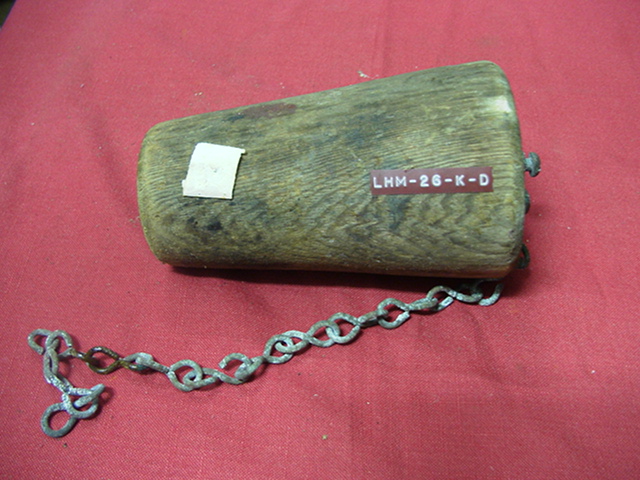Full-size image