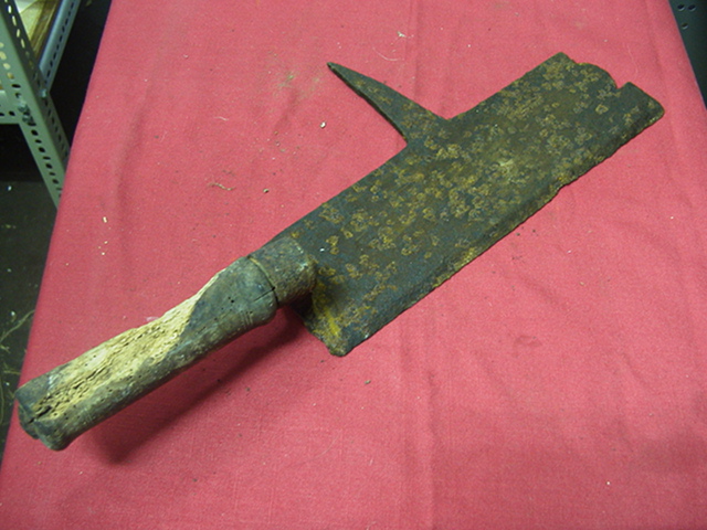 Full-size image