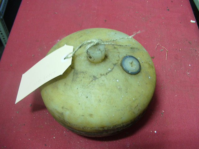 Full-size image
