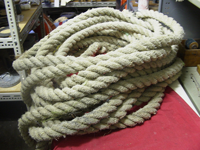 Full-size image