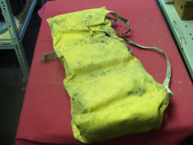 Full-size image