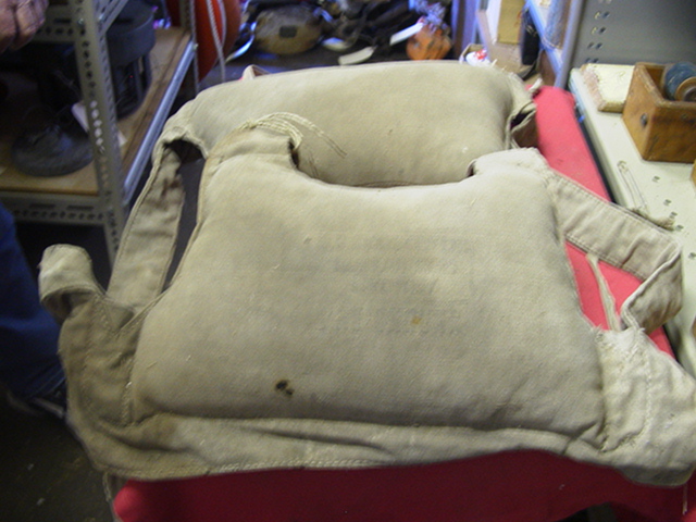 Full-size image