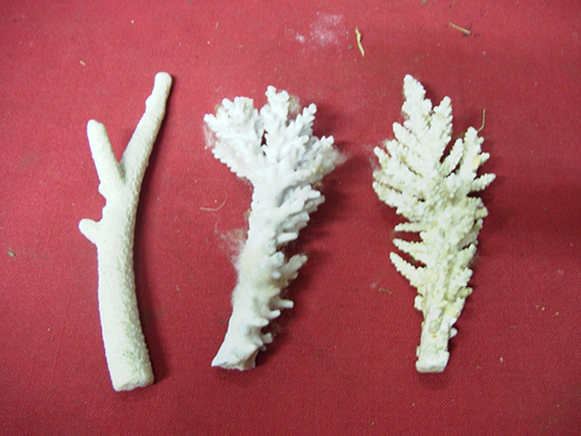 Full-size image