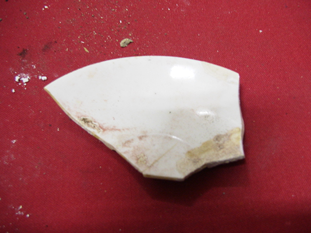 Full-size image