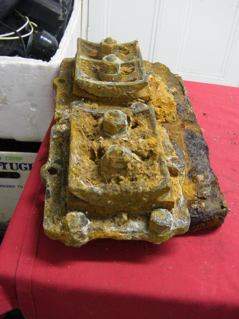 Full-size image
