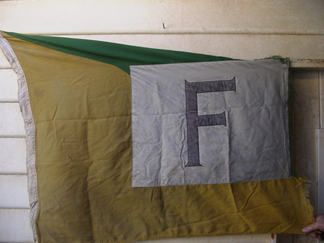Full-size image