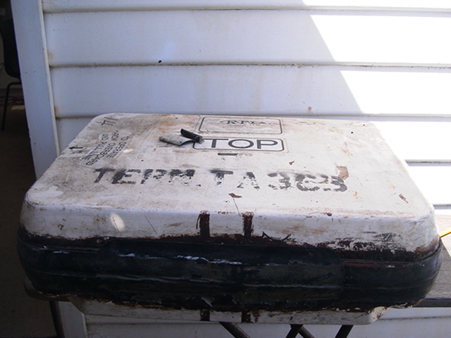 Full-size image