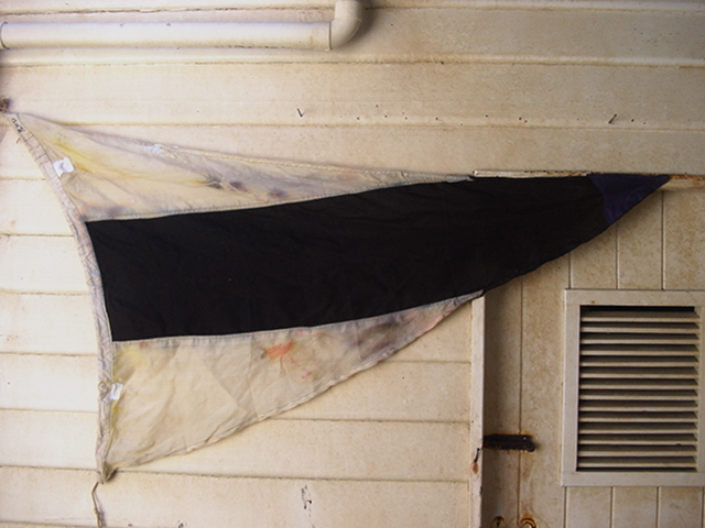 Full-size image